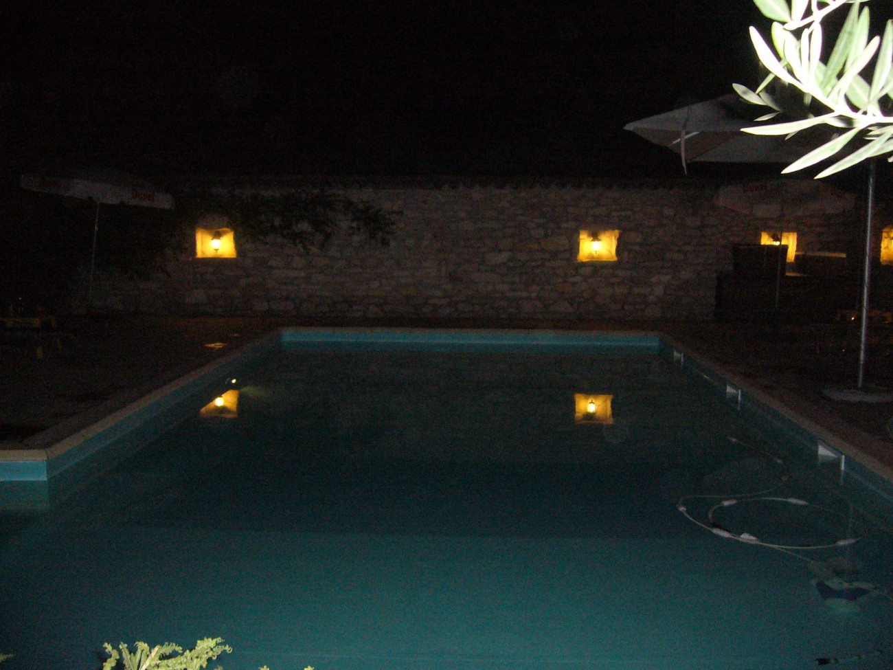 2009V4H80_0025.jpg
