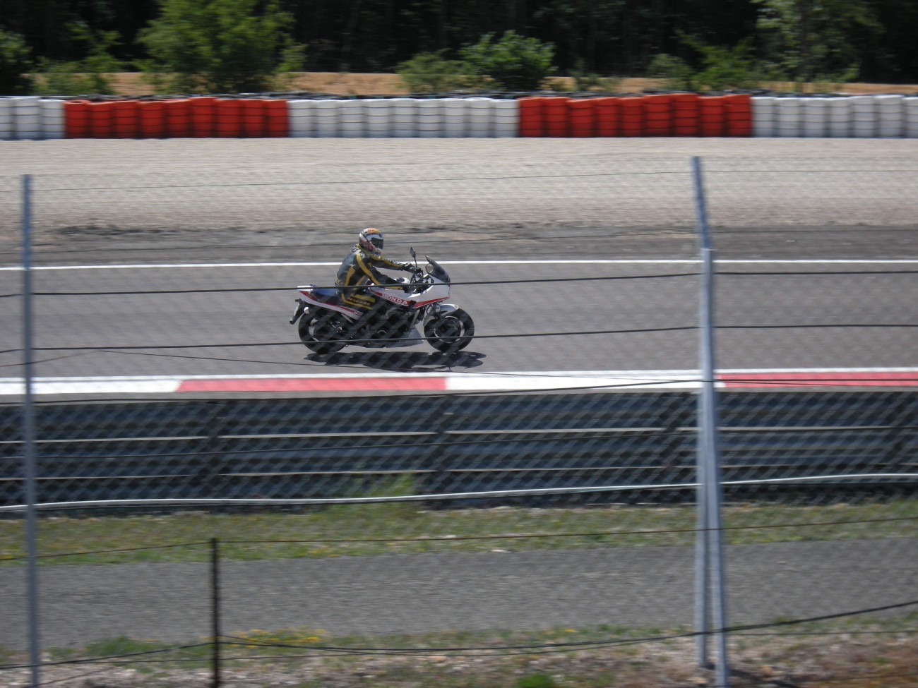 2011 ML 06.jpg
